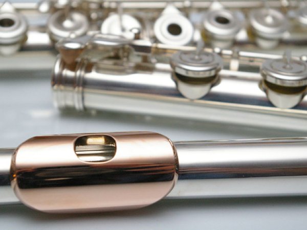 In Search of Inspiration - Flute Masterclass Day and Concert
